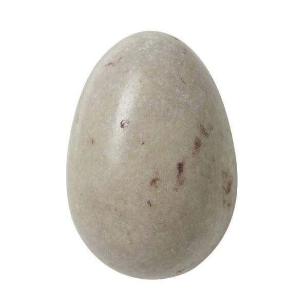 oeuf de mouette praline amandes noisettes noir
